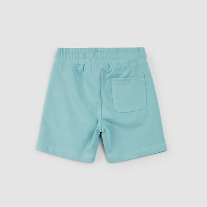 Reef Terry Shorts